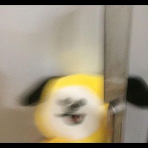 Meet your Posher, Faye